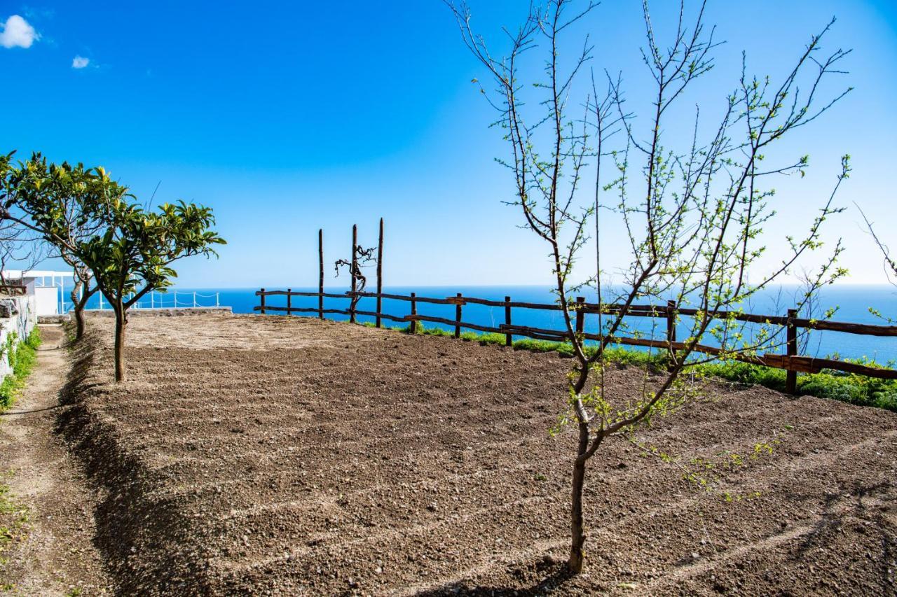 Villa La Tagliata Spectacular Jacuzzi Tub Amazing View And Private Parking Garage Positano Exterior foto
